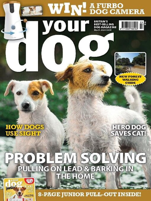 Title details for Your Dog by Warners Group Publications Plc - Available